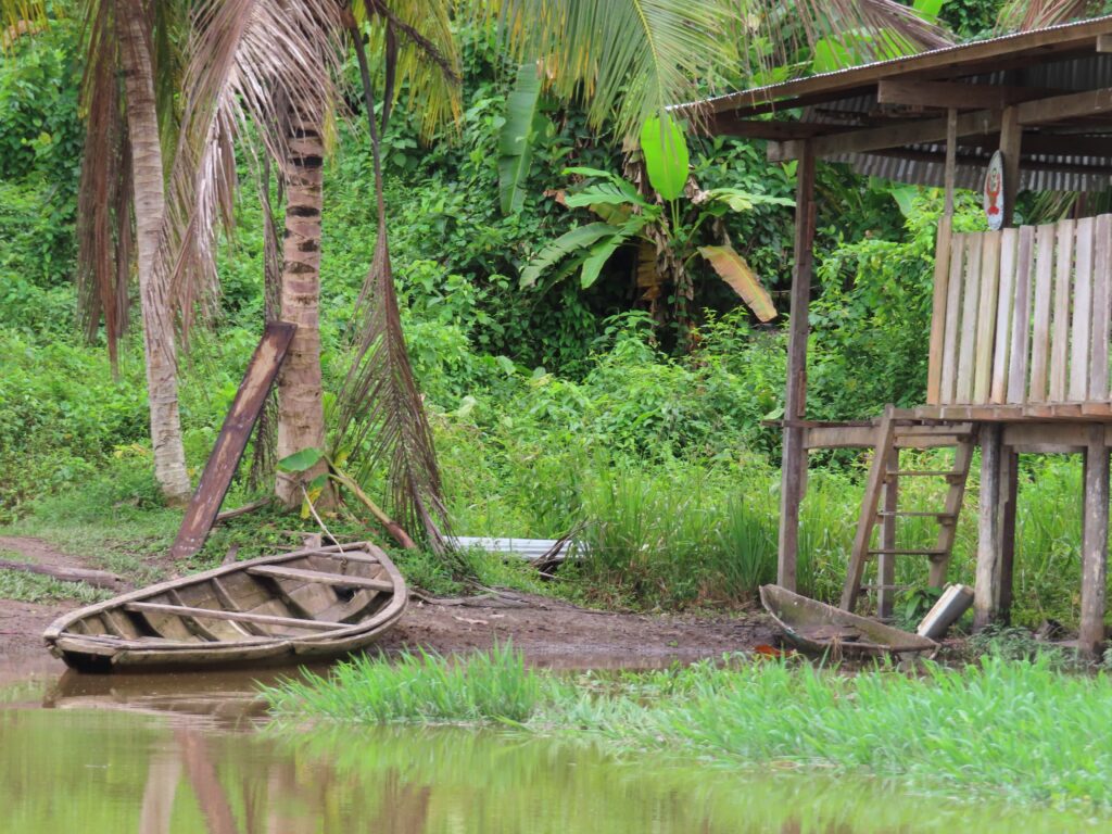 Home in Amazon rainforest showing a jungle scene and a dugout canoe.